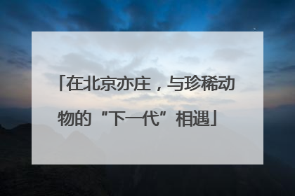 在北京亦庄，与珍稀动物的“下一代”相遇