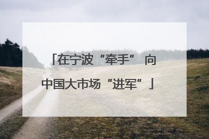 在宁波“牵手” 向中国大市场“进军”