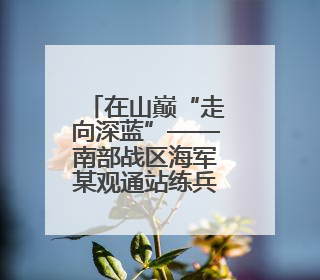 在山巅“走向深蓝”——南部战区海军某观通站练兵备战记事