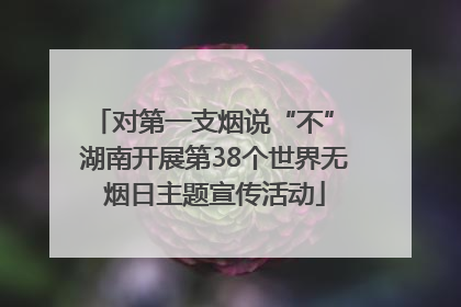 对第一支烟说“不” 湖南开展第38个世界无烟日主题宣传活动