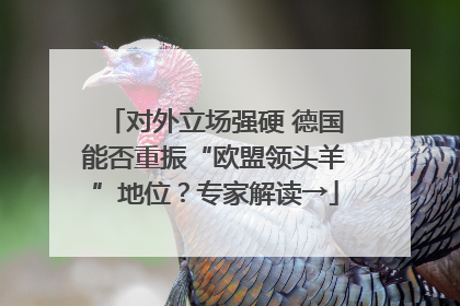 对外立场强硬 德国能否重振“欧盟领头羊”地位？专家解读→