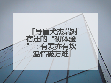 导盲犬杰瑞对宿迁的“初体验”：有爱亦有坎 温情破万难