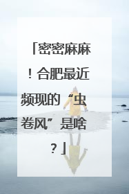 密密麻麻！合肥最近频现的“虫卷风”是啥？