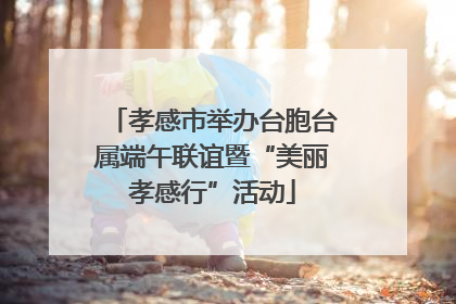 孝感市举办台胞台属端午联谊暨“美丽孝感行”活动