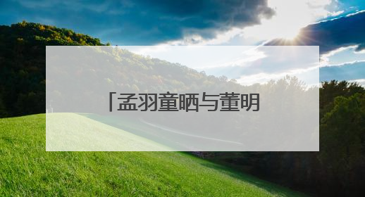 孟羽童晒与董明珠合照：感念曾经，未来珍重