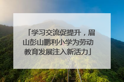 学习交流促提升，眉山彭山鹏利小学为劳动教育发展注入新活力
