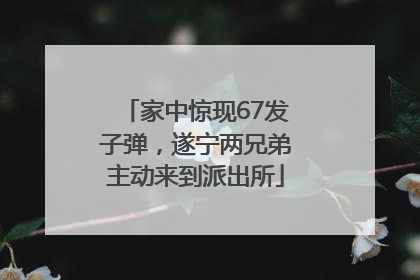 家中惊现67发子弹，遂宁两兄弟主动来到派出所