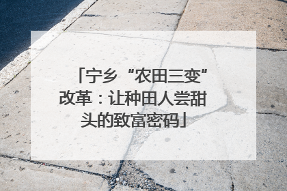 宁乡“农田三变”改革：让种田人尝甜头的致富密码