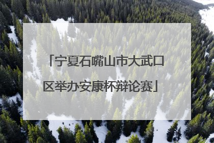 宁夏石嘴山市大武口区举办安康杯辩论赛