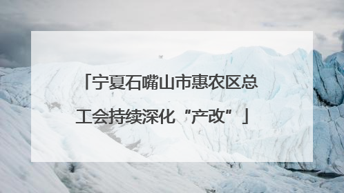 宁夏石嘴山市惠农区总工会持续深化“产改”