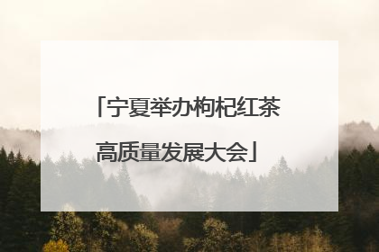 宁夏举办枸杞红茶高质量发展大会