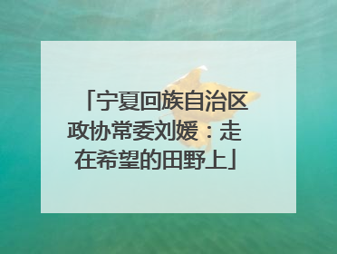 宁夏回族自治区政协常委刘媛：走在希望的田野上