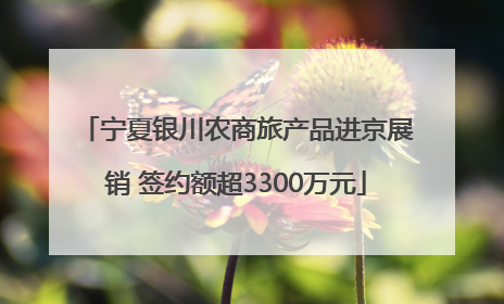 宁夏银川农商旅产品进京展销 签约额超3300万元