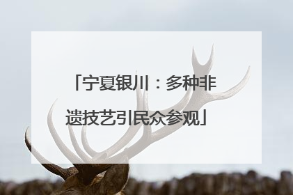 宁夏银川：多种非遗技艺引民众参观
