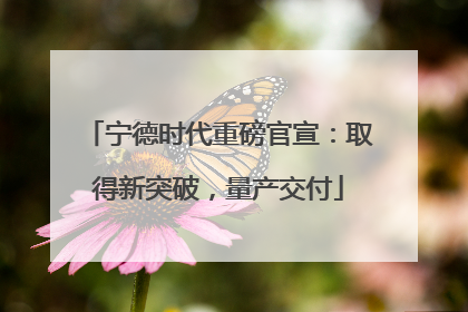 宁德时代重磅官宣：取得新突破，量产交付
