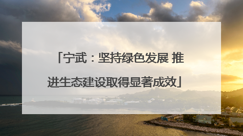 宁武：坚持绿色发展 推进生态建设取得显著成效