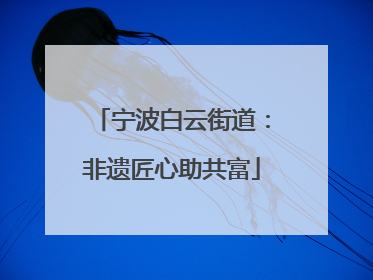 宁波白云街道：非遗匠心助共富