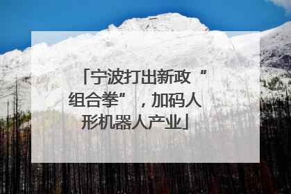 宁波打出新政“组合拳”，加码人形机器人产业