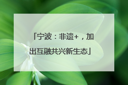 宁波：非遗+，加出互融共兴新生态
