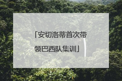 安切洛蒂首次带领巴西队集训