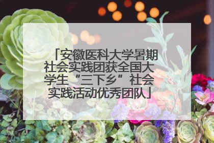 安徽医科大学暑期社会实践团获全国大学生“三下乡”社会实践活动优秀团队