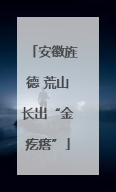 安徽旌德 荒山长出“金疙瘩”
