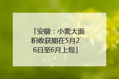 安徽：小麦大面积收获期在5月26日至6月上旬