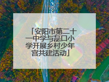 安阳市第二十一中学与磊口小学开展乡村少年宫共建活动