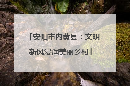 安阳市内黄县：文明新风浸润美丽乡村