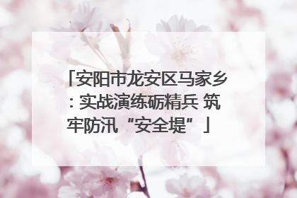 安阳市龙安区马家乡：实战演练砺精兵 筑牢防汛“安全堤”