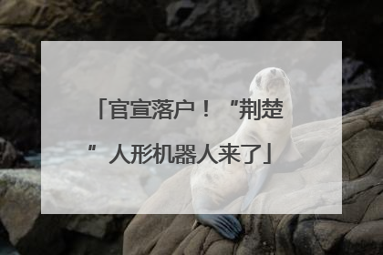 官宣落户！“荆楚”人形机器人来了