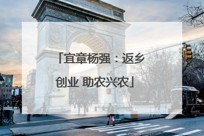 宜章杨强：返乡创业 助农兴农