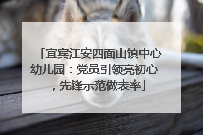 宜宾江安四面山镇中心幼儿园：党员引领亮初心，先锋示范做表率