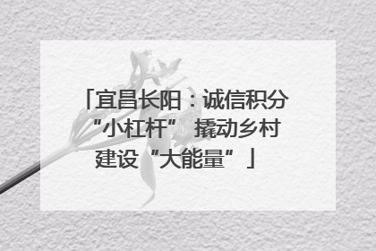宜昌长阳：诚信积分“小杠杆” 撬动乡村建设“大能量”