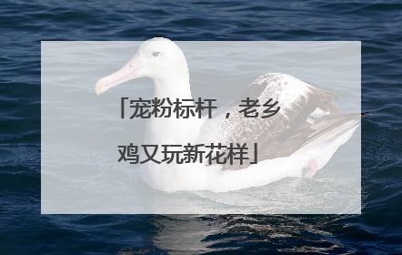 宠粉标杆，老乡鸡又玩新花样
