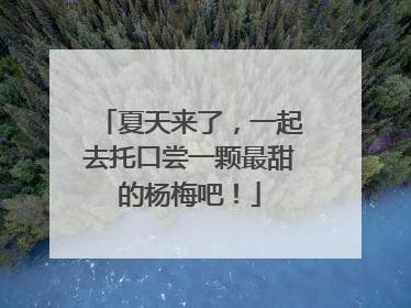 夏天来了，一起去托口尝一颗最甜的杨梅吧！