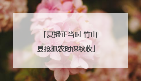 夏播正当时 竹山县抢抓农时保秋收