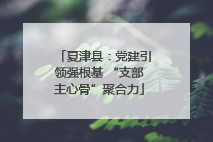 夏津县：党建引领强根基 “支部主心骨”聚合力