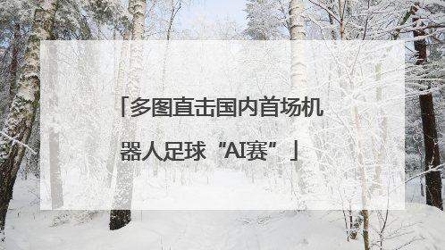 多图直击国内首场机器人足球“AI赛”