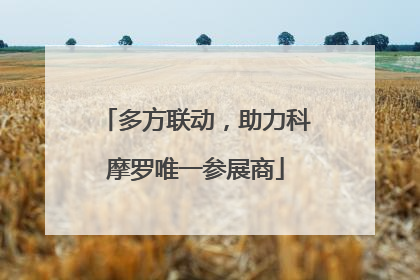 多方联动，助力科摩罗唯一参展商