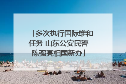 多次执行国际维和任务 山东公安民警陈强亮相国新办