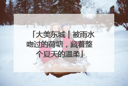大美东城｜被雨水吻过的荷塘，藏着整个夏天的温柔