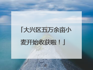大兴区五万余亩小麦开始收获啦！