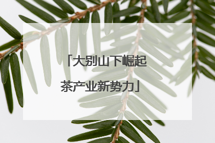 大别山下崛起茶产业新势力
