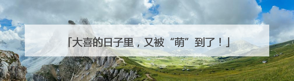 大喜的日子里，又被“萌”到了！