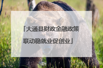 大通县财政金融政策联动稳就业促创业