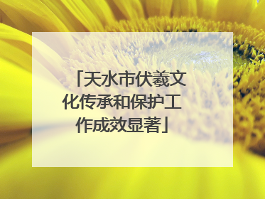 天水市伏羲文化传承和保护工作成效显著