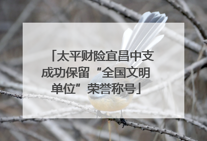 太平财险宜昌中支成功保留“全国文明单位”荣誉称号
