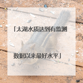 太湖水质达到有监测数据以来最好水平