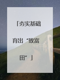 夯实基础育出“致富田”